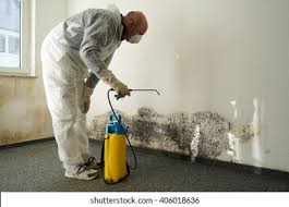 Best Environmental Consulting for Mold Prevention  in USA